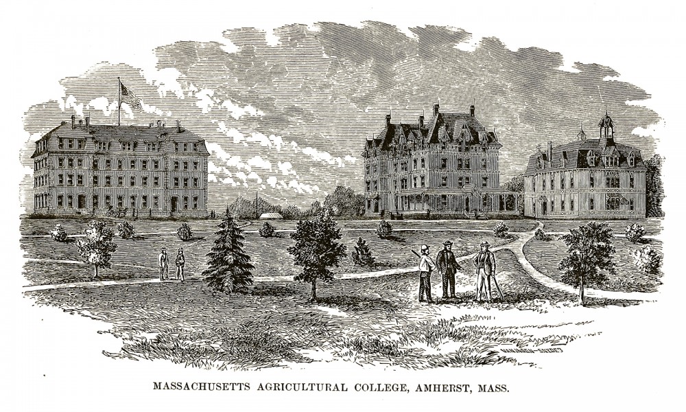 Sketch of Massachusetts Agricultural College (now known as the University of Massachusetts Amherst). 