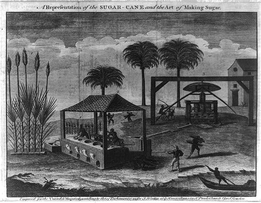 Enslaved people labor on a sugar plantation. John Hinton, “A representation of the sugar-cane and the art of making sugar,” 1749. Library of Congress, http://www.loc.gov/pictures/item/2004670227/. 