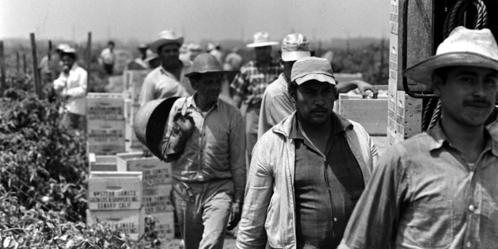 Migrant Farm Workers, 1959, Michael Rougier—Time & Life Pictures/Getty Images. Via Life.