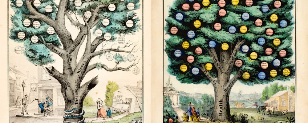 This print shows two trees: “Tree of Temperance” and “Tree of Intemperance,” The tree of bears colorful fruit and the trunk includes the word health, prosperity, strength of mind, happiness, and more. The tree of intemperance, on the other hand, is barren and marred by disease, misery, poverty, and insanity.