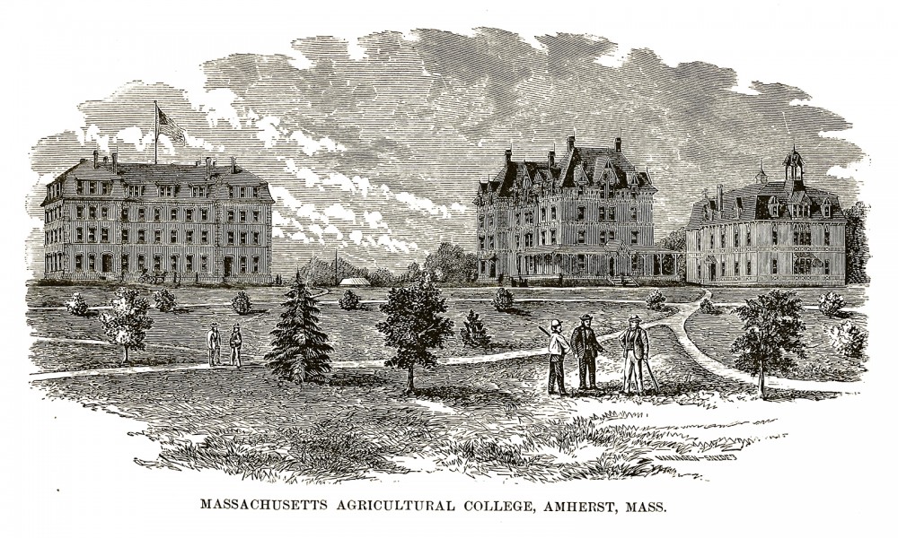 Massachusetts Agricultural College (now known as University of Massachusetts Amherst) was one of many colleges founded through the Federal Morrill-Land Grant Colleges Act. “Massachusetts Agricultural College, Amherst, Mass. 1879,” 1880. Wikimedia, http://commons.wikimedia.org/wiki/File:Mass_Aggie.jpg. 