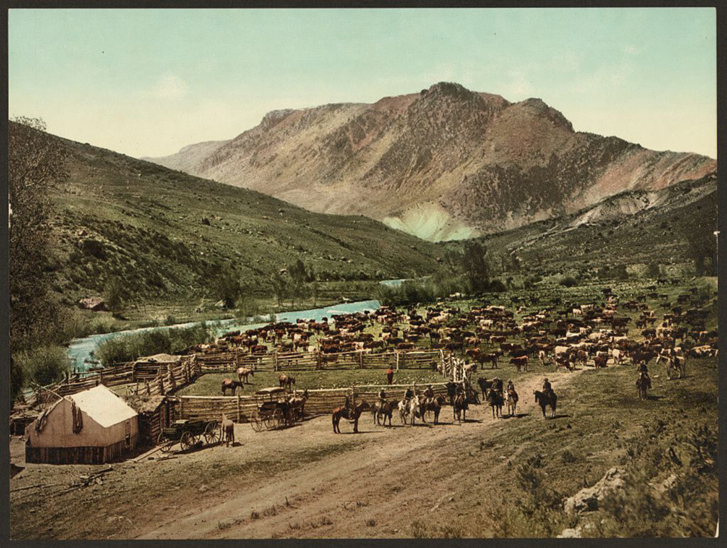 Riders pose in front of numerous cattle alongside a small river in the mountains.