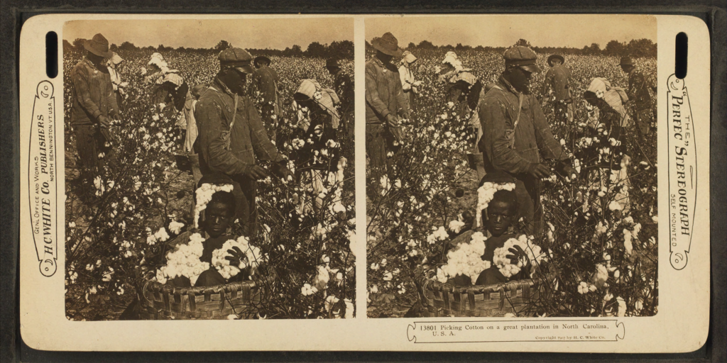 This photograph shows nine enslaved laborers of various ages and genders, picking cotton on a plantation in North Carolina.