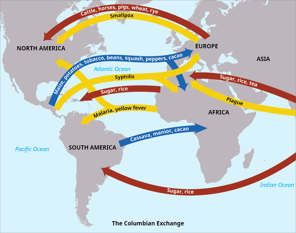 This graphic depicts several of the most influential non-human aspects of the Columbian Exchange. A world map illustrating the Columbian Exchange—the transfer of goods, people, diseases, and ideas between the Americas, Europe, Africa, and Asia after 1492. Arrows show the directions of exchanges: From the Americas to Europe, Africa, and Asia, being directed by a purple arrow are beans, corn, cocoa, peanuts, peppers, pineapples, potatoes, pumpkins, sweet potatoes, squash, tomatoes, tobacco, turkey, and vanilla. From Europe, Africa, and Asia to the Americas, also being directed by a purple arrow, are bananas, citrus fruits, coffee beans, disease – smallpox, influenza, typhus, measles, malaria, diphtheria, whooping cough – grains, grapes, honeybees, livestock – cattle, sheep, pigs, horses – olives, onions, peaches and pears, sugarcane, and turnips.